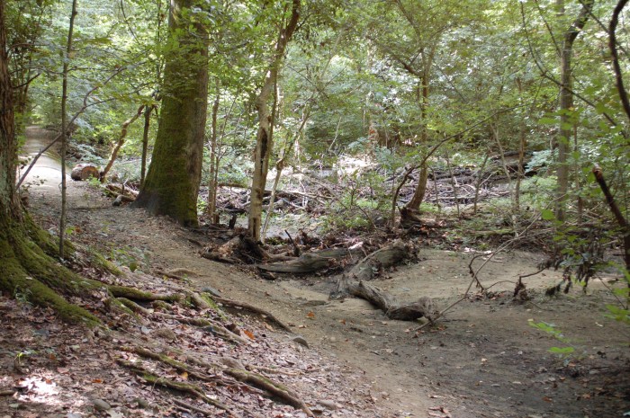 ganperosion0816dsc_0114