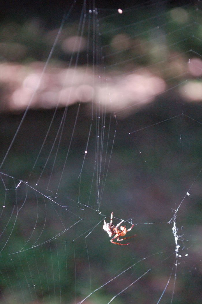 gurunoffsiteweb083016dsc_0247