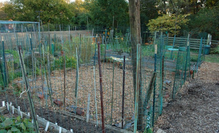 donaldson2newarkstreetcomgarden10-30-16dsc_0261