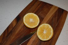 coulonbushlemon12-3-16dsc_0408