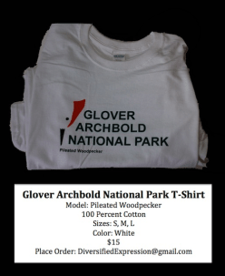 GANP T-Shirt Ad Screen Shot 2017-03-07 at 8.31.15 PM