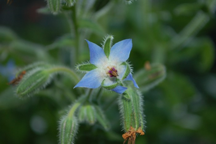 June 25, 2017 DSC_0971