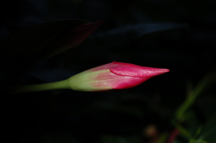 July 13, 2017 DSC_1395