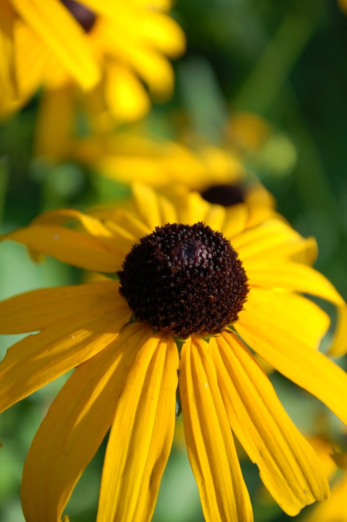 July 16, 2017 DSC_1388