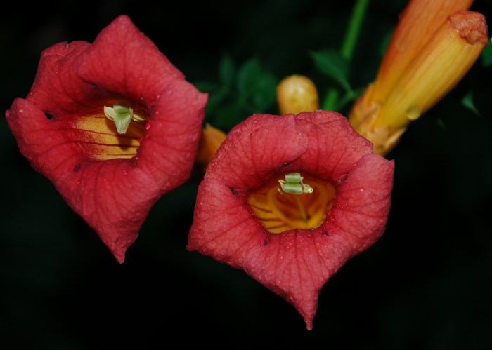 July 19, 2017 DSC_1399