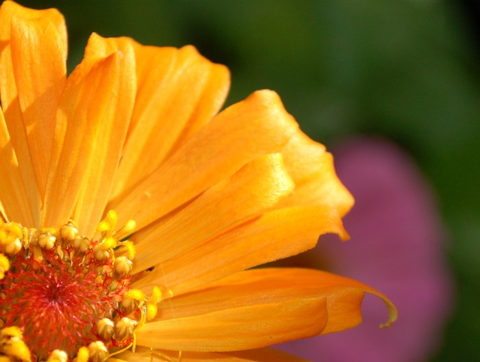 July 24, 2017 DSC_1391