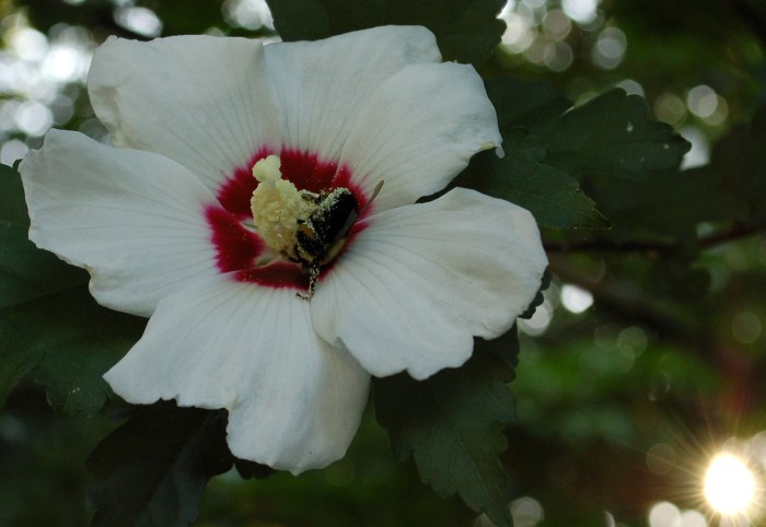 July 26, 2017 DSC_1394