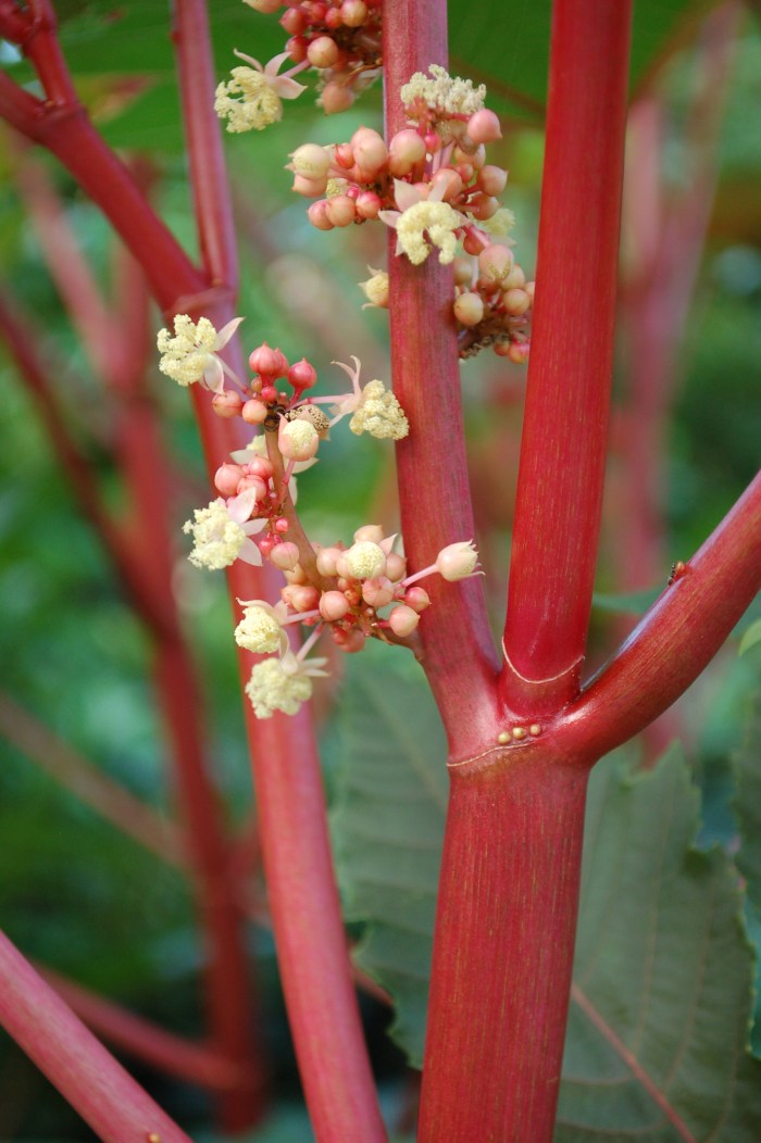 July 28, 2017 DSC_1428