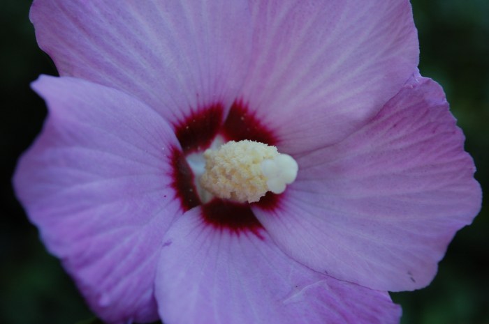 August 30, 2017 DSC_1386