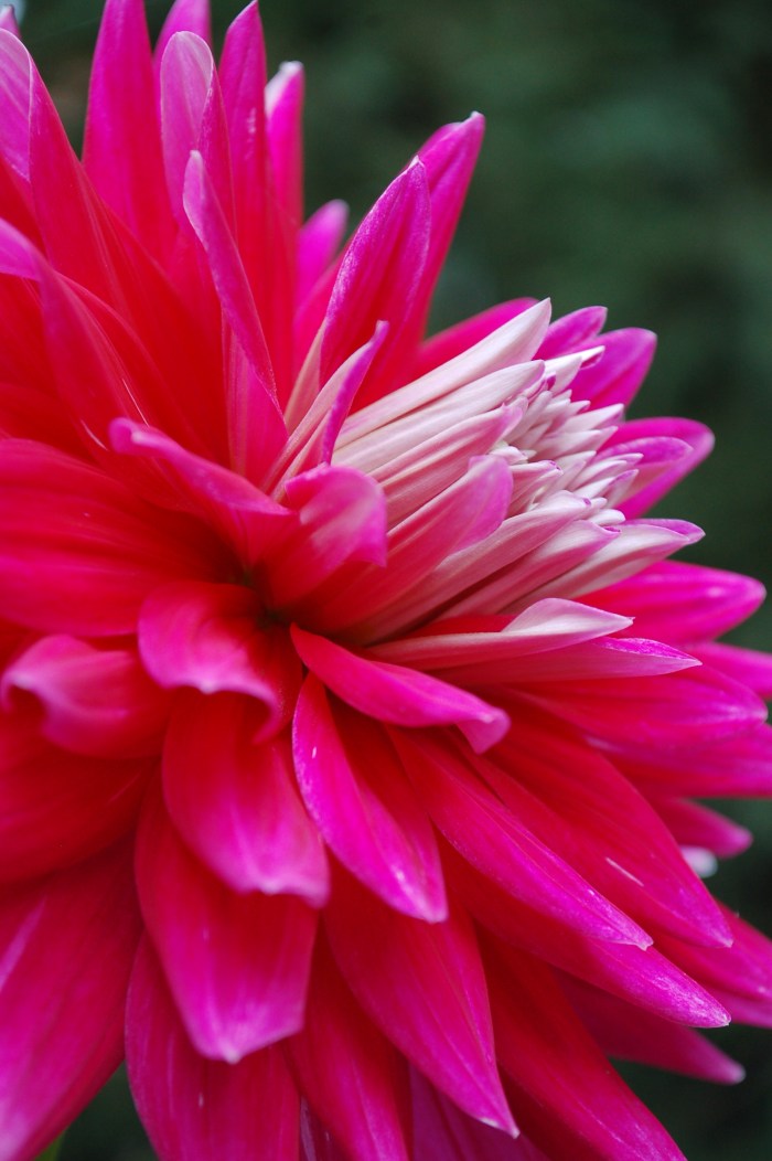 September 13, 2017 DSC_1393