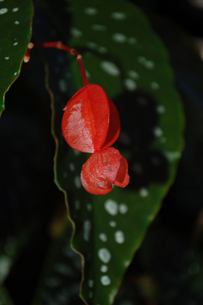 September 15, 2017 DSC_1418