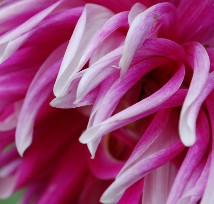 September 16, 2017 DSC_1390