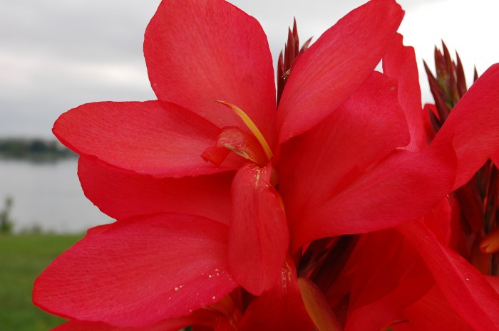 September 19, 2017 DSC_1399 copy