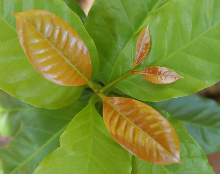 September 8, 2017 DSC_1385