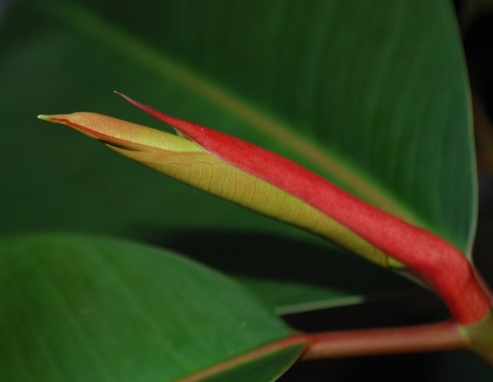 September 9, 2017 DSC_1383