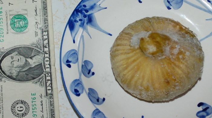 Armenian Buck Big Fig Compared to Dollar 10-9-17 DSC_1456 copy