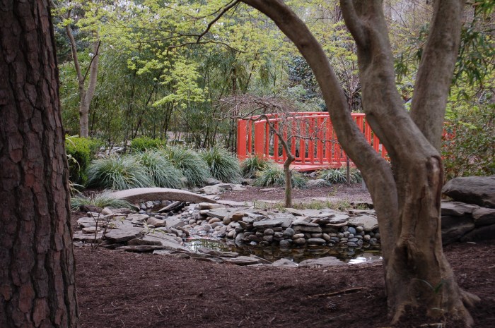 Miyazaki Bridges DSC_1706