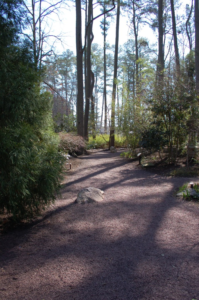 Miyazaki Shadows DSC_1665