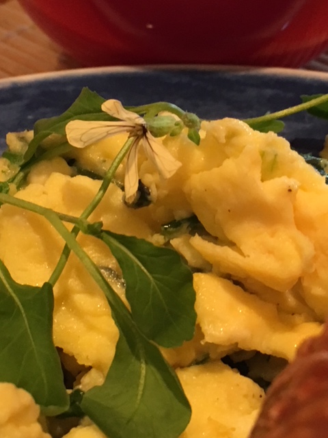 Egg & Bedroom Arugula 4-8-18 IMG_2846