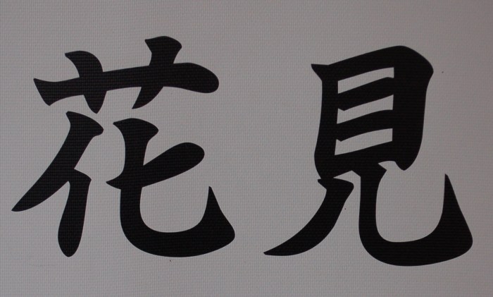 Hanami NPS DSC_1756 copy