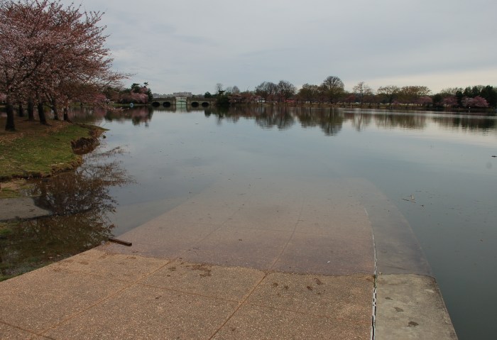Tidal Basin Jeff mem 4-1-18 10:30 a morning after full moon DSC_1754