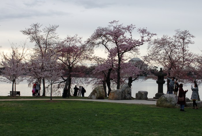 Tidal Basin Jeff Mem in distance A 4-1-18 DSC_1735