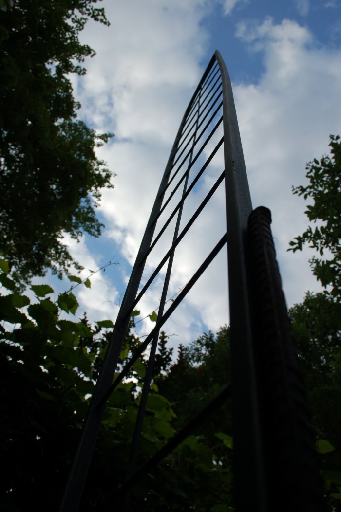 Trellis sky 1 6-7-18 DSC_1695