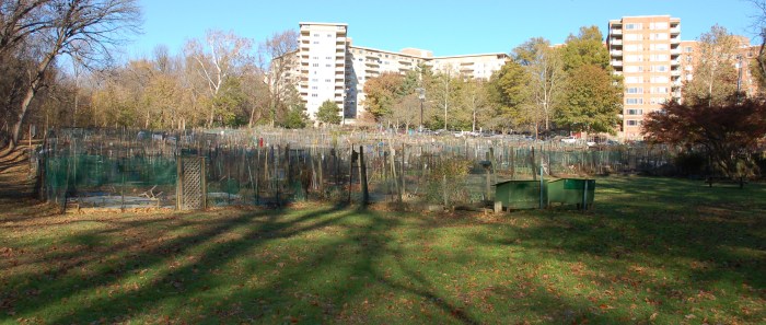 Glover Park Community Garden 11-16-19 DSC_0451
